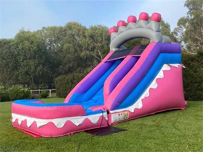 Beautiful Party Princess Inflatable Pink Water Slide